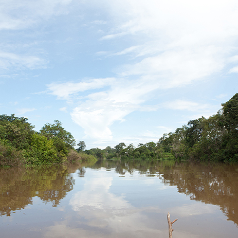 AMAZONAS 16 rio mosaico galeria_MG_4161.jpg
